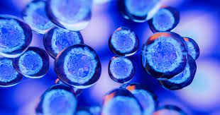 Regenerative Medicine in Karachi